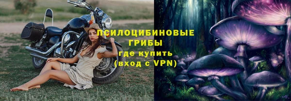шишки Алзамай