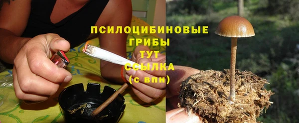 шишки Алзамай